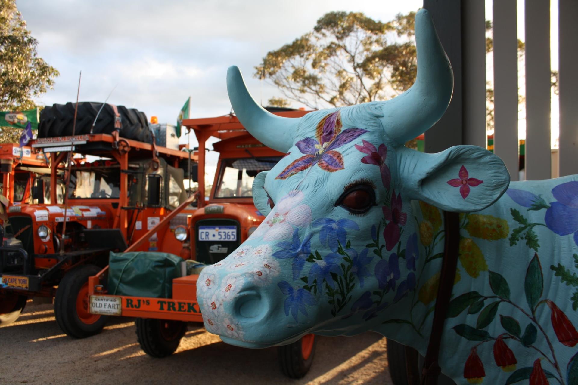 Ravensthorpe Wildflower Festival - Town Hall